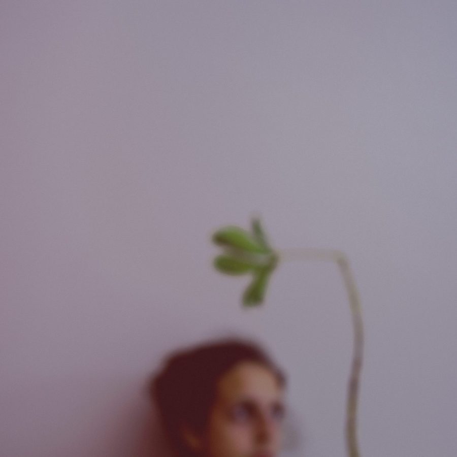 Resiliencia_RocioPonce